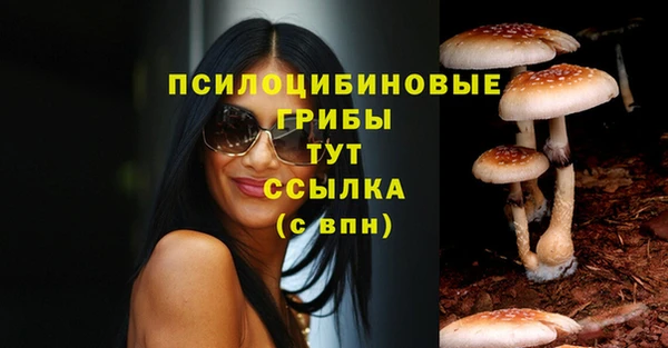 трава Верхнеуральск