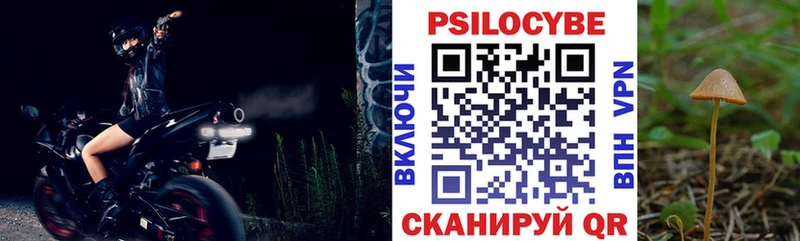 Галлюциногенные грибы Psilocybe  сколько стоит  Дюртюли 